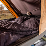 Capture d’écran 2026-01-31 à 20.29.06